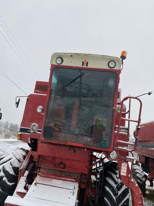 Vând mânză semigrea