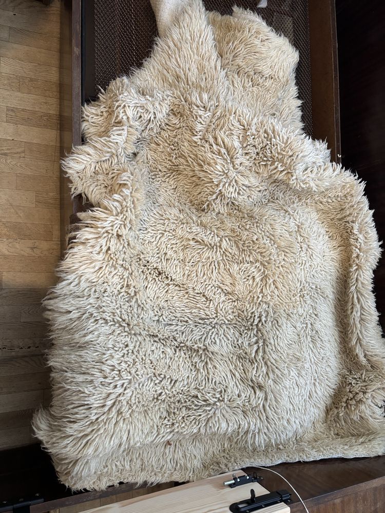 Класически вълнен губер