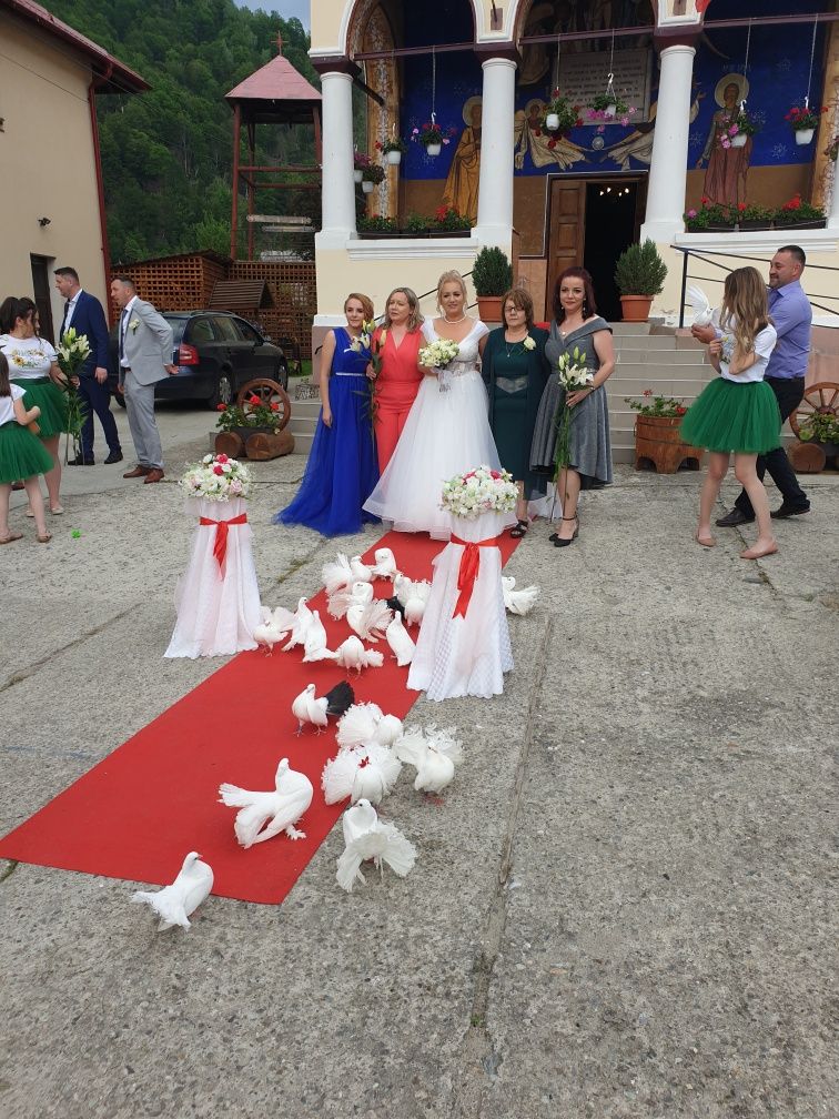 Porumbei albi ptr nunti în Sibiu si Valcea