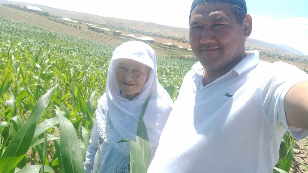 Er uchastkasi 50 soʻtix gʻisht zavodning yonida