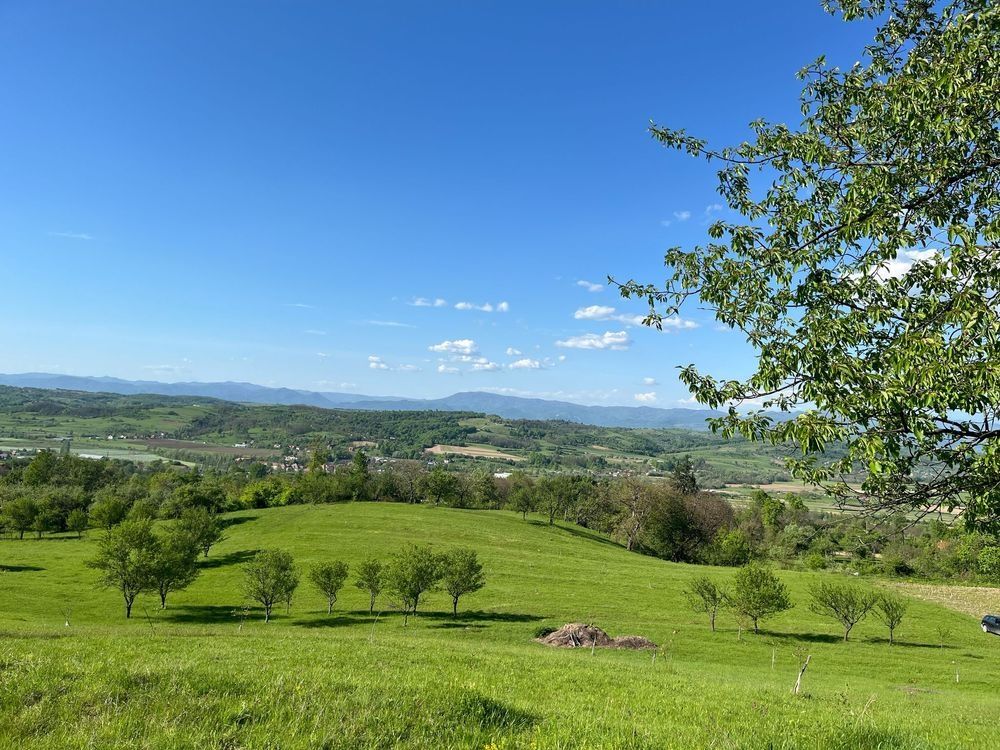 Vând pământ in Copalnic Manastur