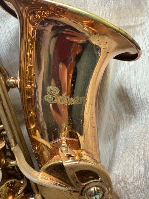 Saxafoane Profesinale