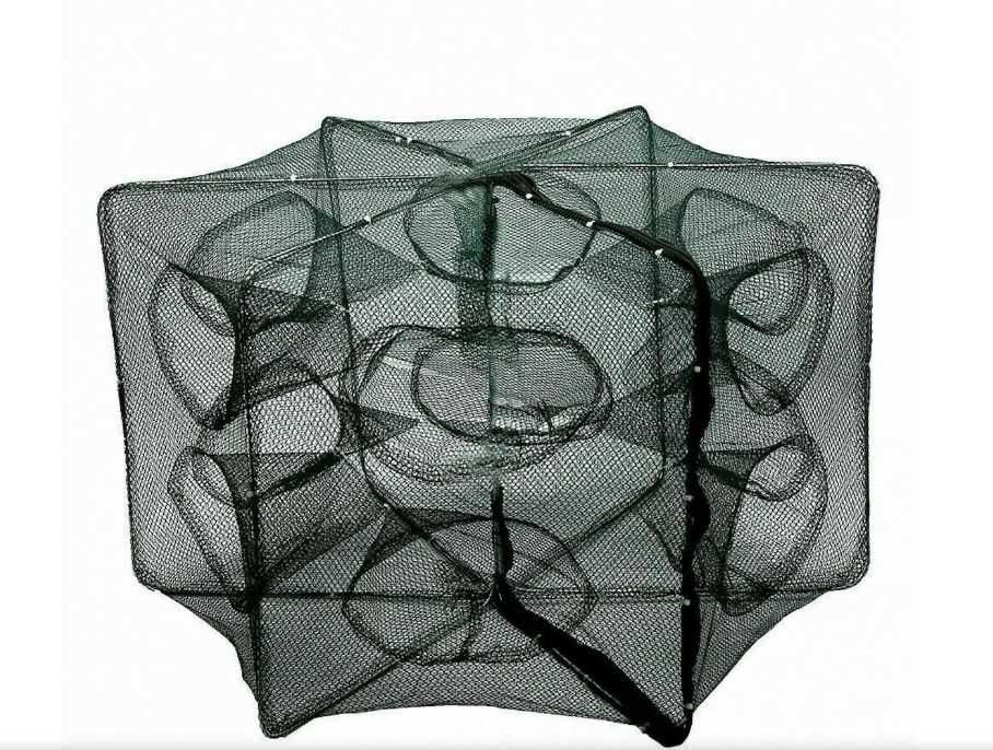 Penar riguri crap si monturi