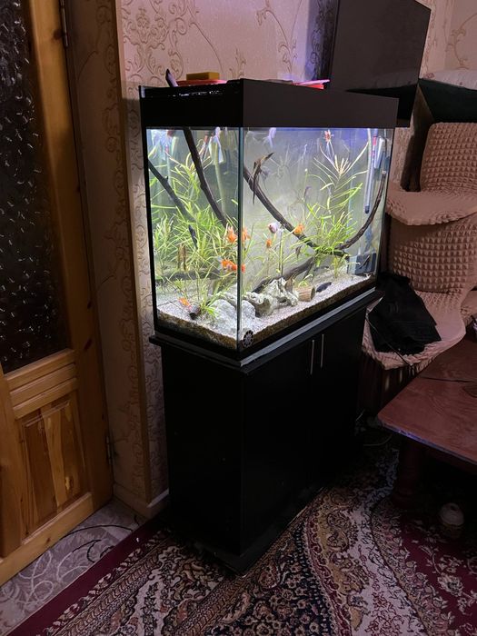 Аквариум 220 литр комплект сотилади