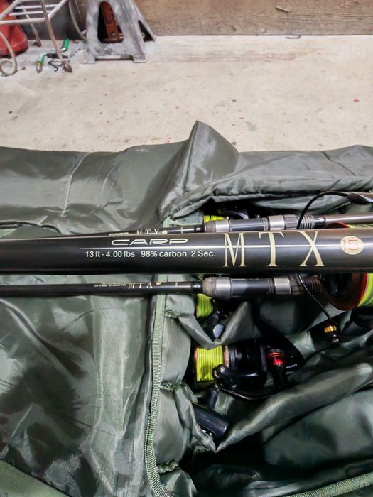 Lansete pescuit crap