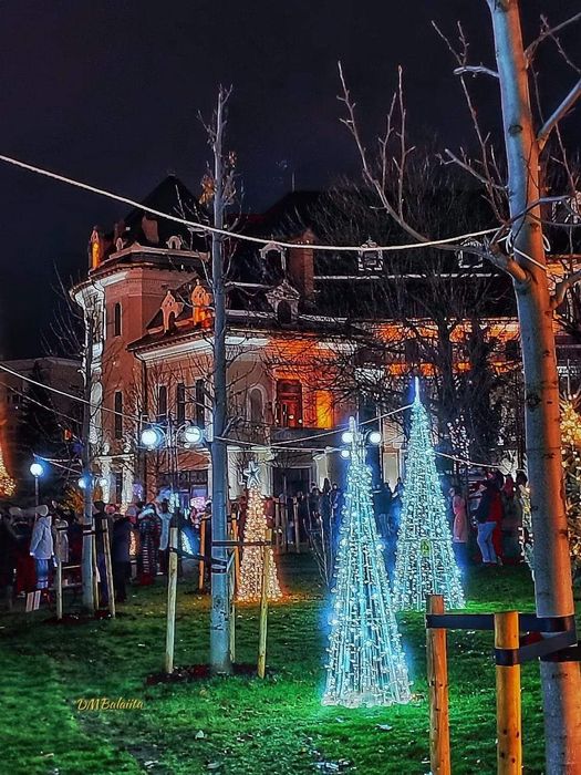 Ornament stradal pentru sarbatorile de iarna