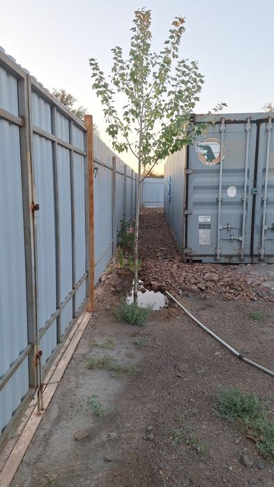 Сдаётся контейнер под склад