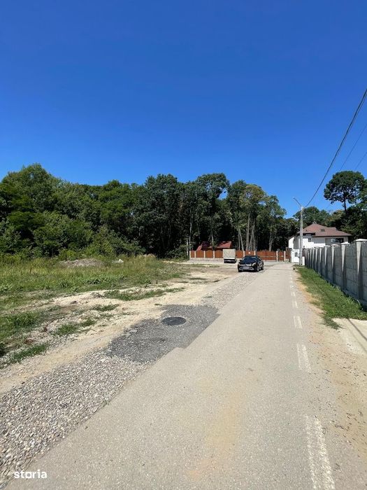 Ordoreanu, Clinceni, Padure
