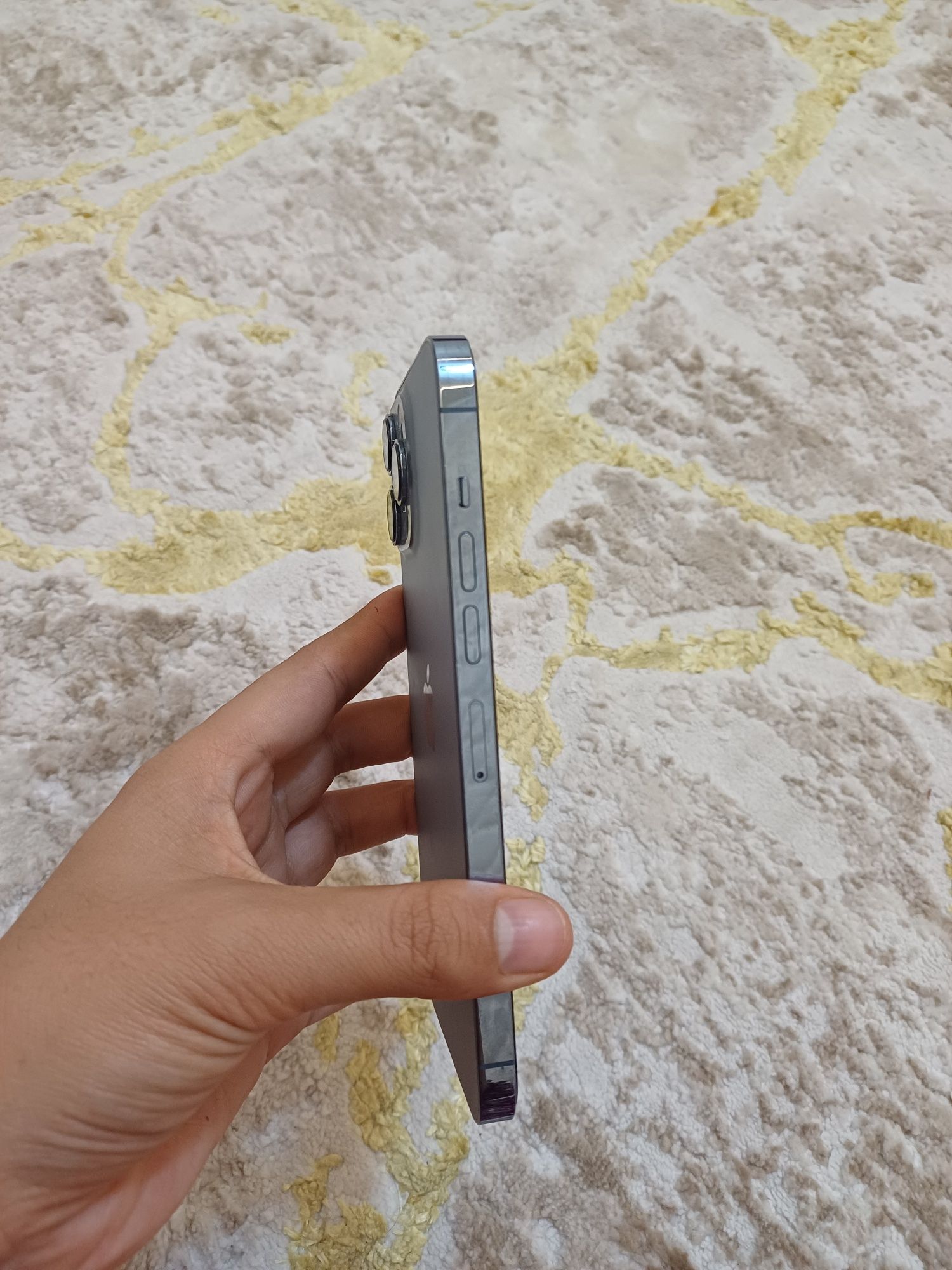 Phone 13 pro max