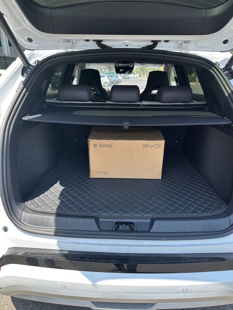 BYD Chempion 605