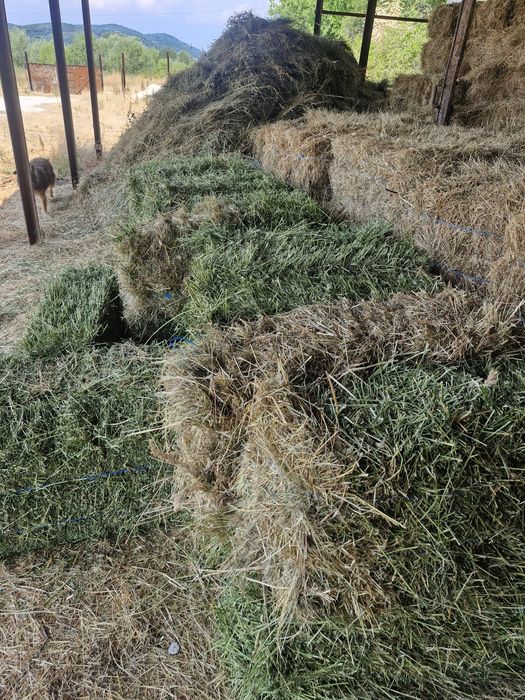 Baloți de fan, producție 2025