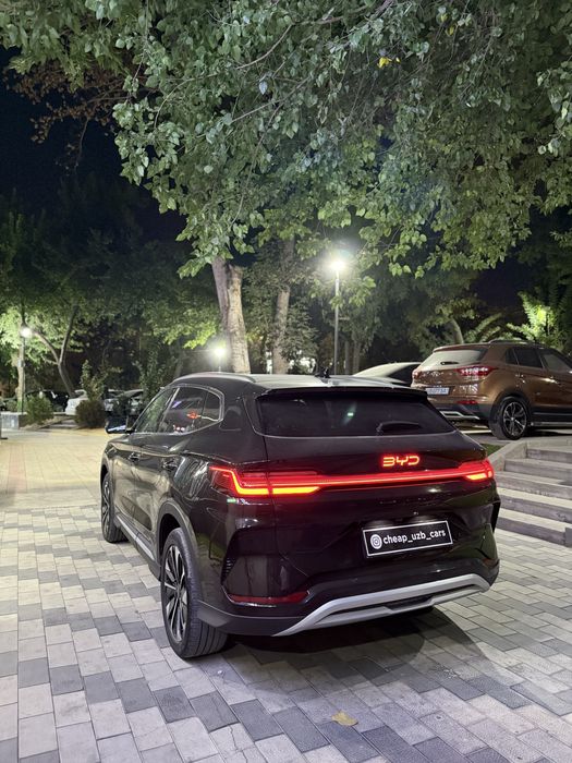Byd chempion reystailng 2024