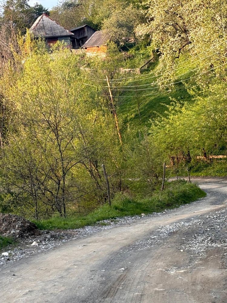 Casă de vânzare bătrânească Munții Apuseni