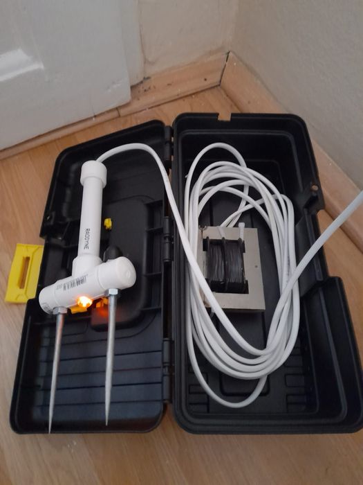 Porci asomator scule