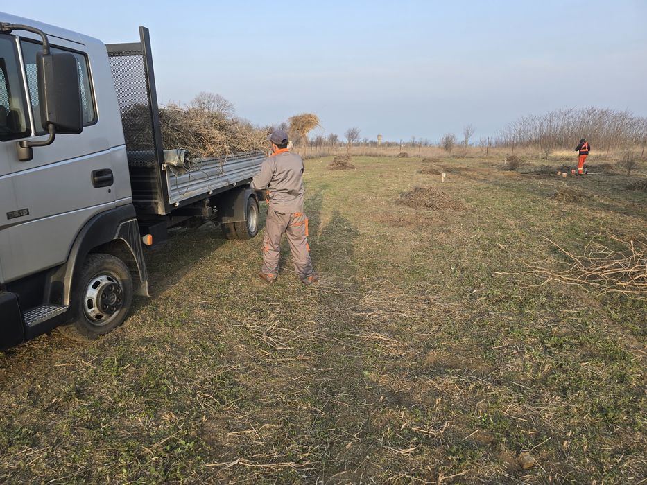 Defrișări tăieri pomii