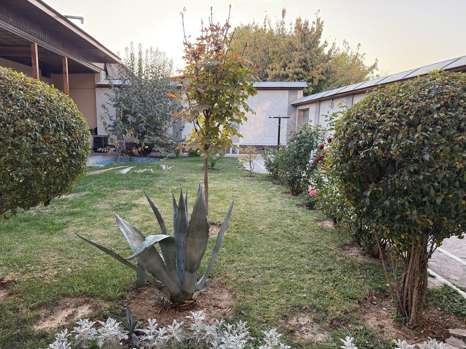 Eski shaxarda uy sotiladi