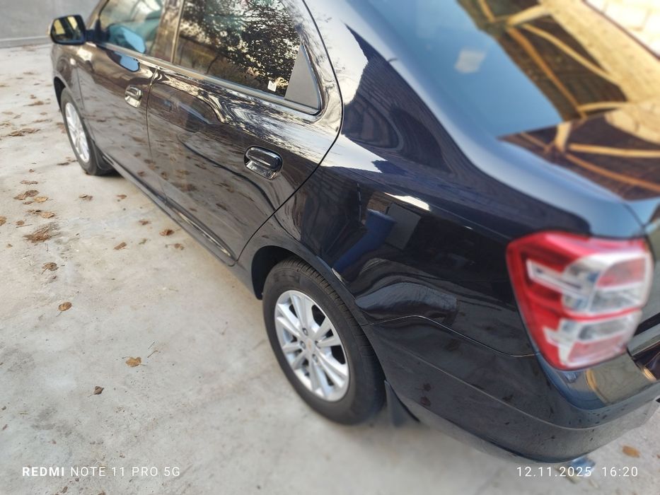 2023 краска тозза