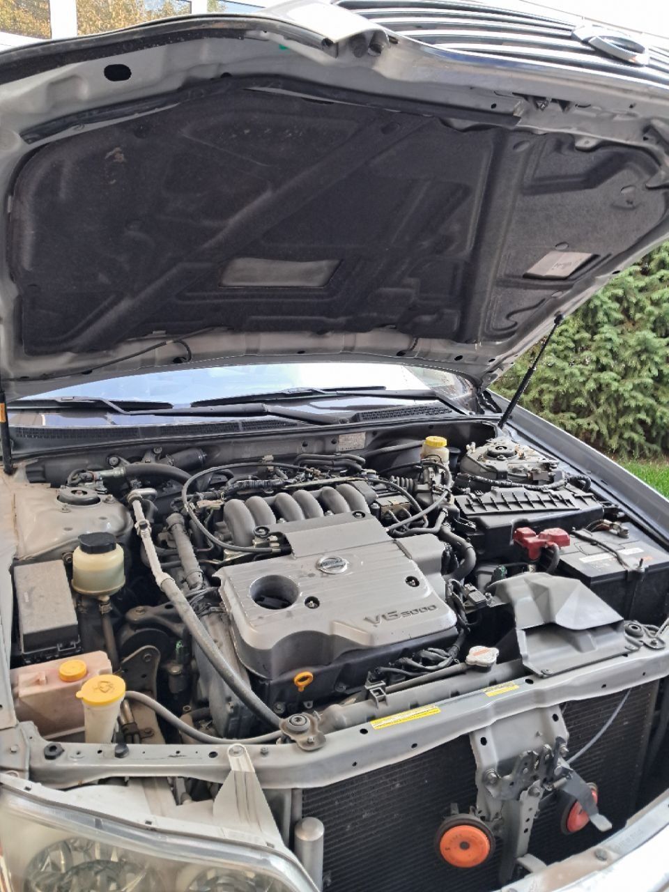 Nissan Maxima arzon narxda