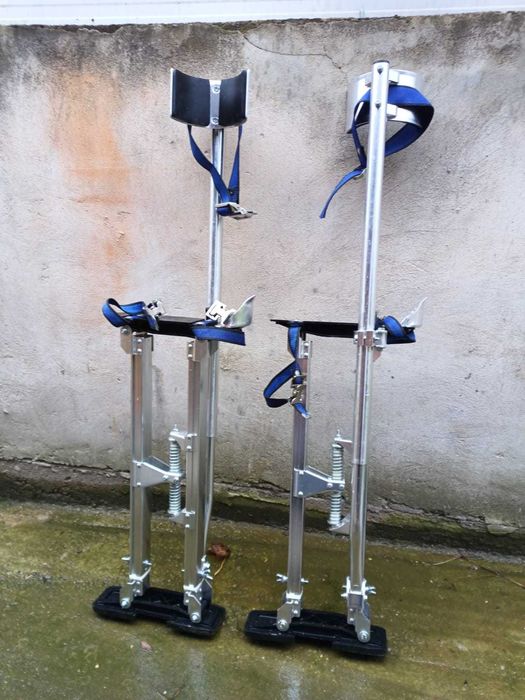 Picioroange , catalige .