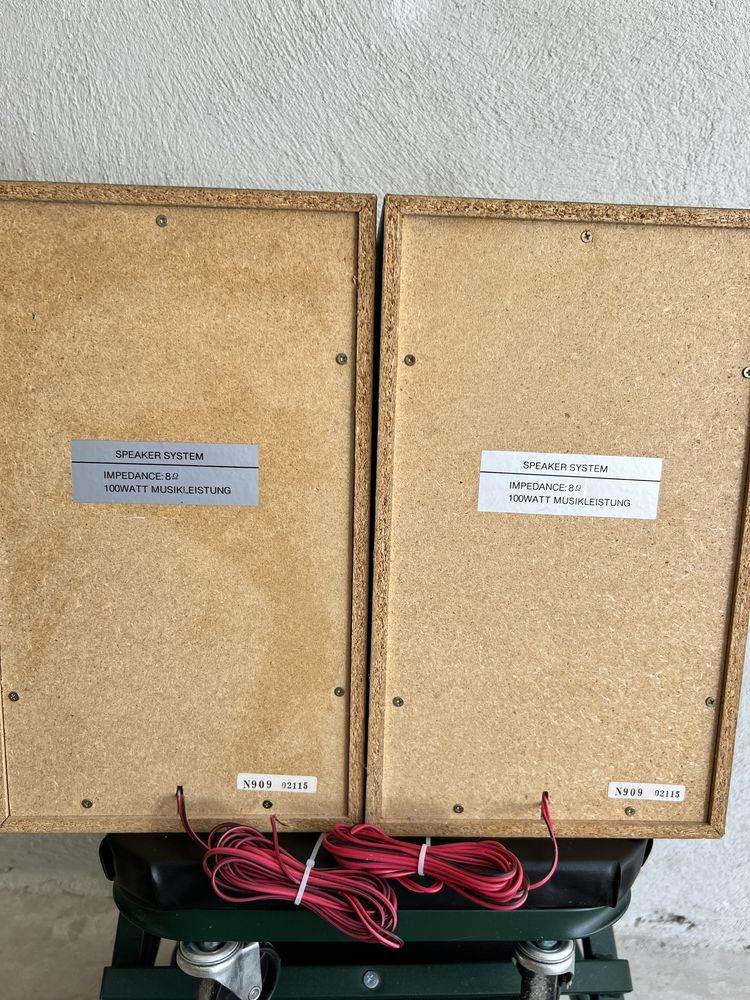 Тонколони 2x100 watt