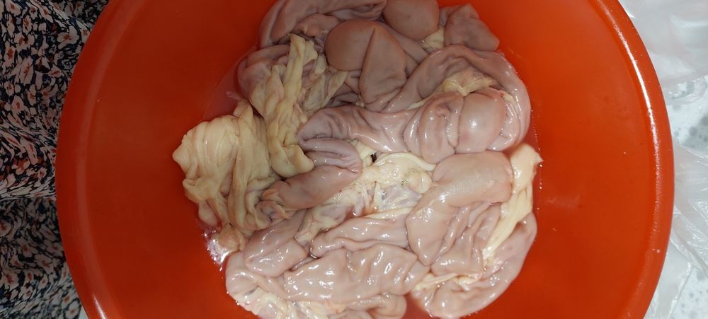 Шек жылқының,таза,