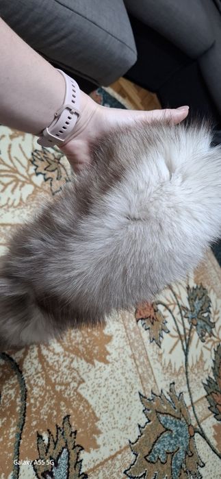 Set căciulă si fular din blana de vulpe argintie