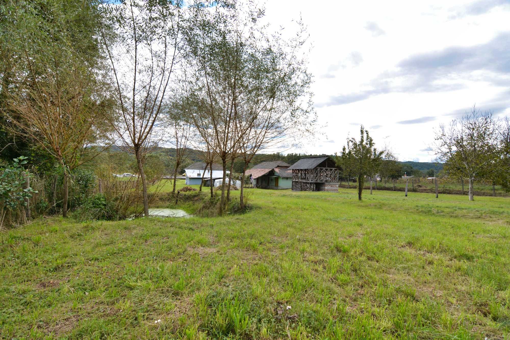 Casa cu teren 5014 m2 sat Tepsenari comuna Milcoiu Valcea