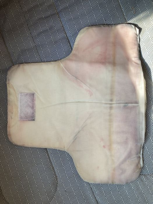 vesta antiglont si panel extra nivel 2 protectie
