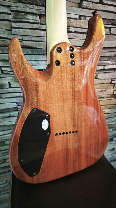 Chitara electrica Schecter C-7 Pro Charcoal Burst + toc Gator