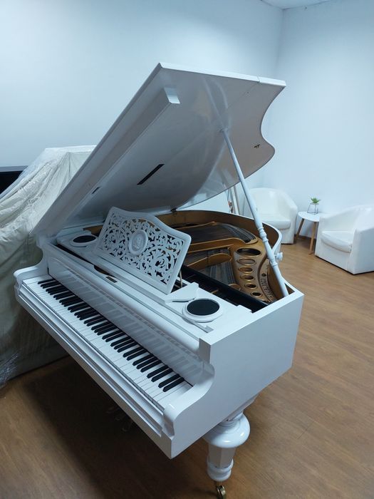 Pian Karl Hamburger(transport gratuit, garanție)