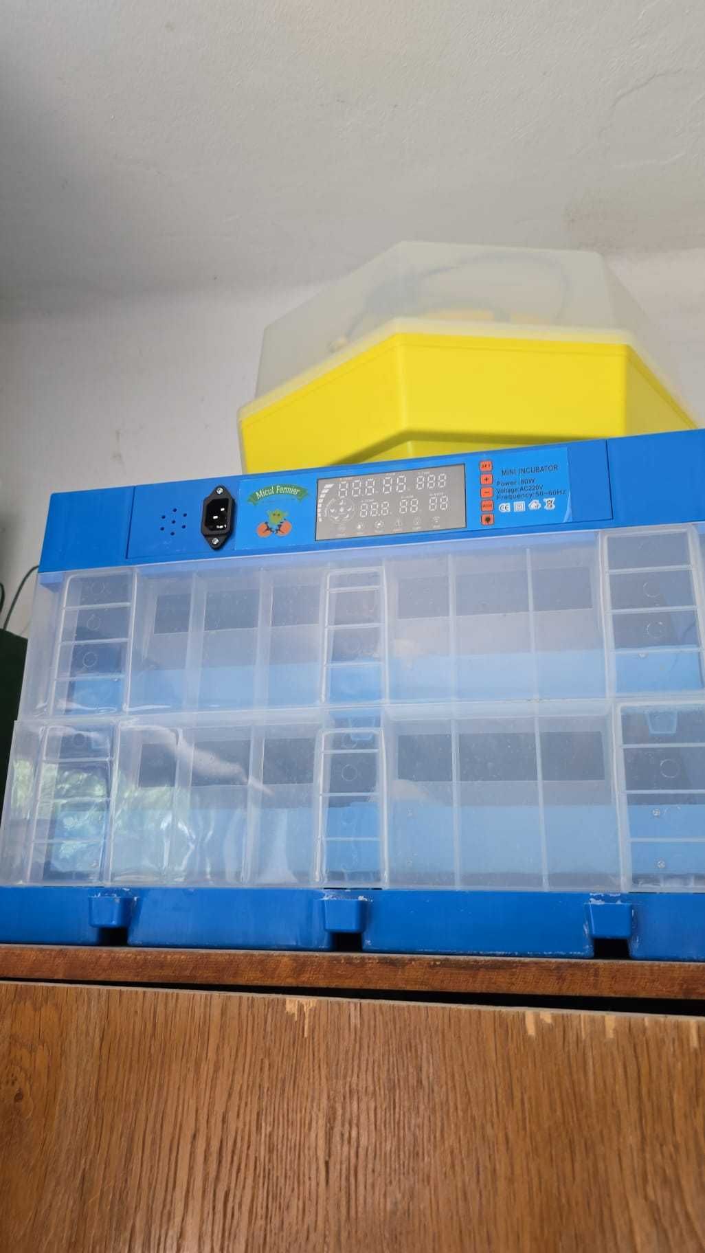 Incubator de vânzare