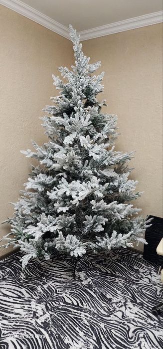 Ёлки премиум класса акция