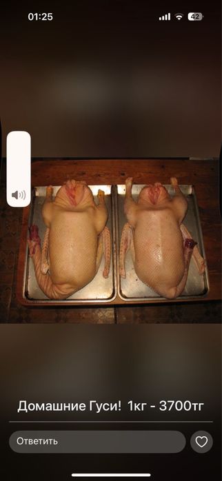 Гуси домашние 3700кг