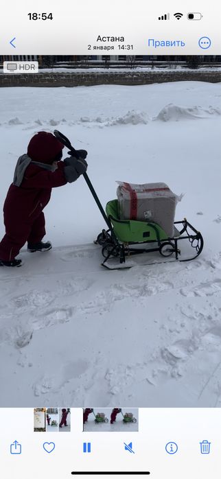 Санки зимние Тимка Ника