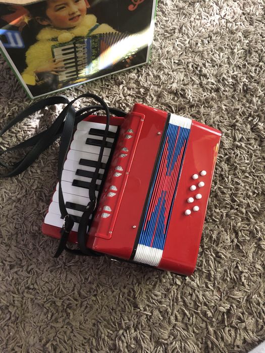 Acordeon copii..