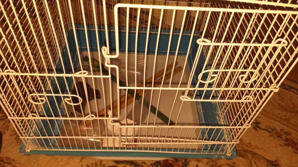 Cușca  peruș 100 lei