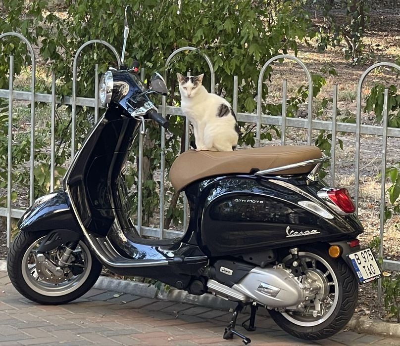 Vespa Primavera 125 cc