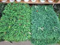 Va vand panouri decorative