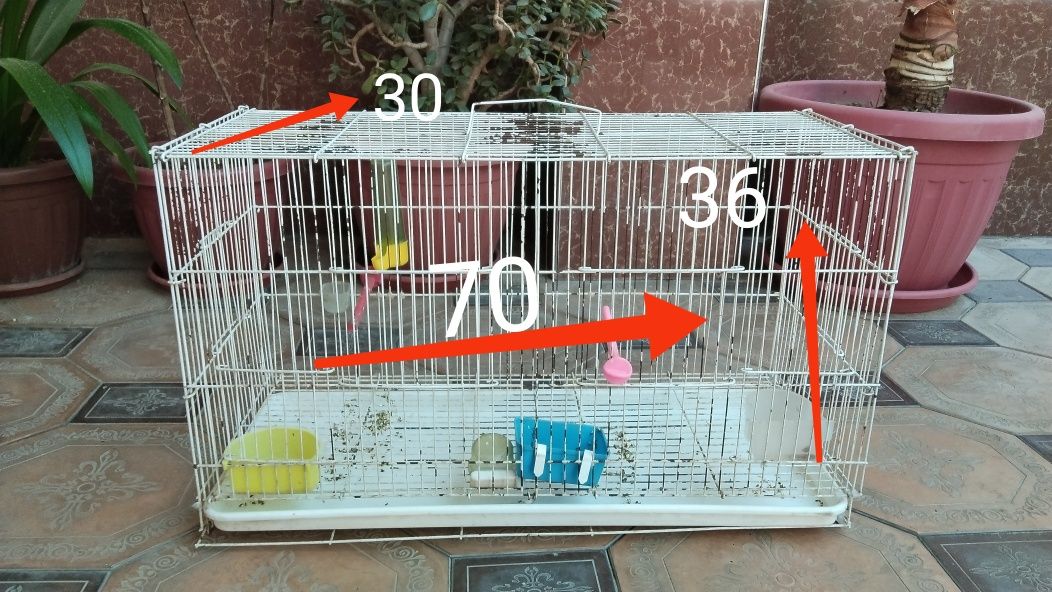 Кафас сотилади 2-та.