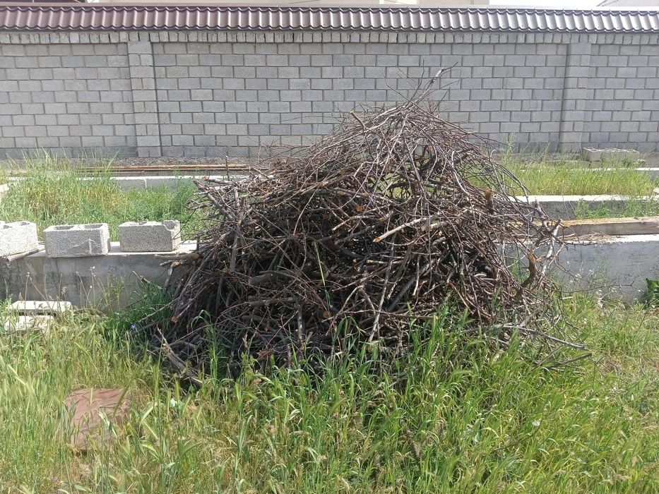 Отын ағайындар кімге керек