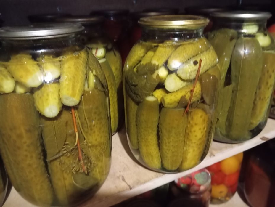 Маринованные помидоры, огурцы