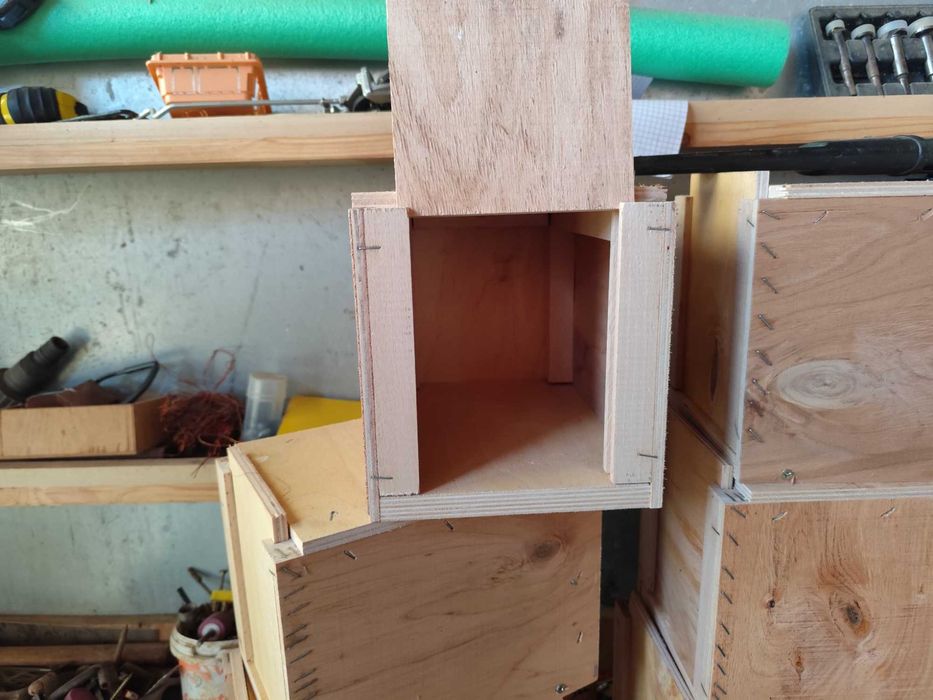 Cuiburi de papagali veverițe și rate exotice