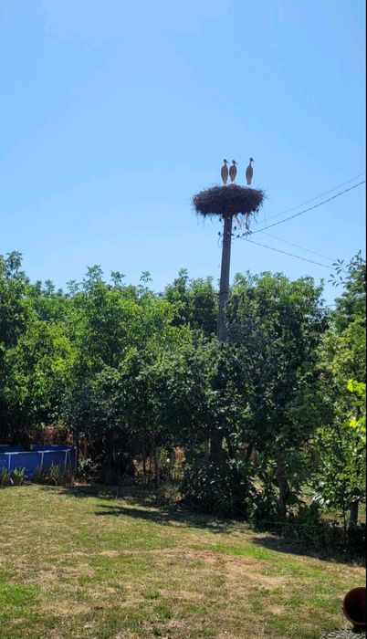 Продавам къща село Николово