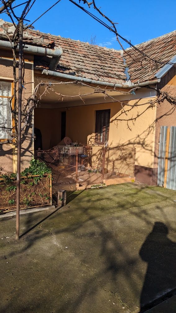 Casa cu gradina de vanzare in Sintea Mare jud Arad