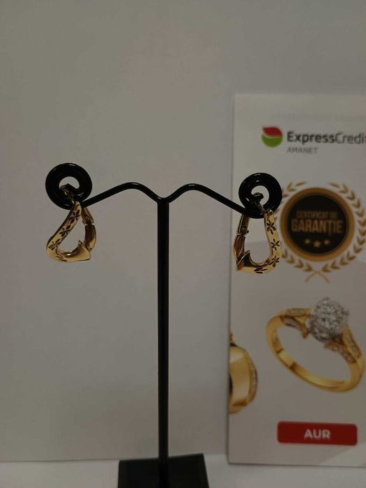 (AG33) Cercei Aur 14K