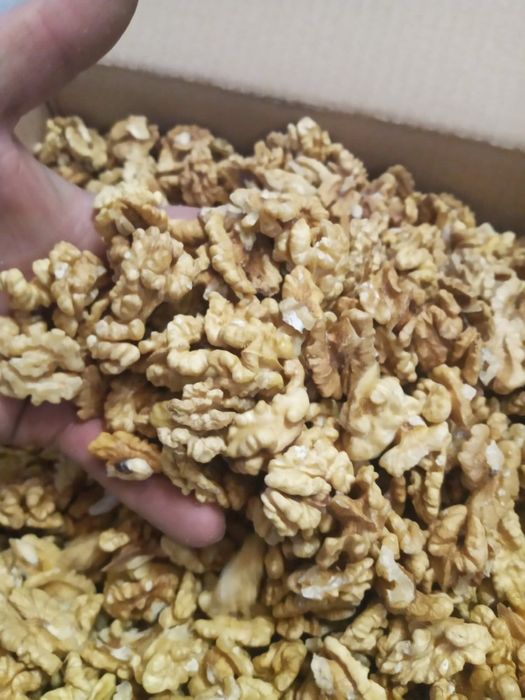 MIEZ DE NUCĂ jumătăți cal 1