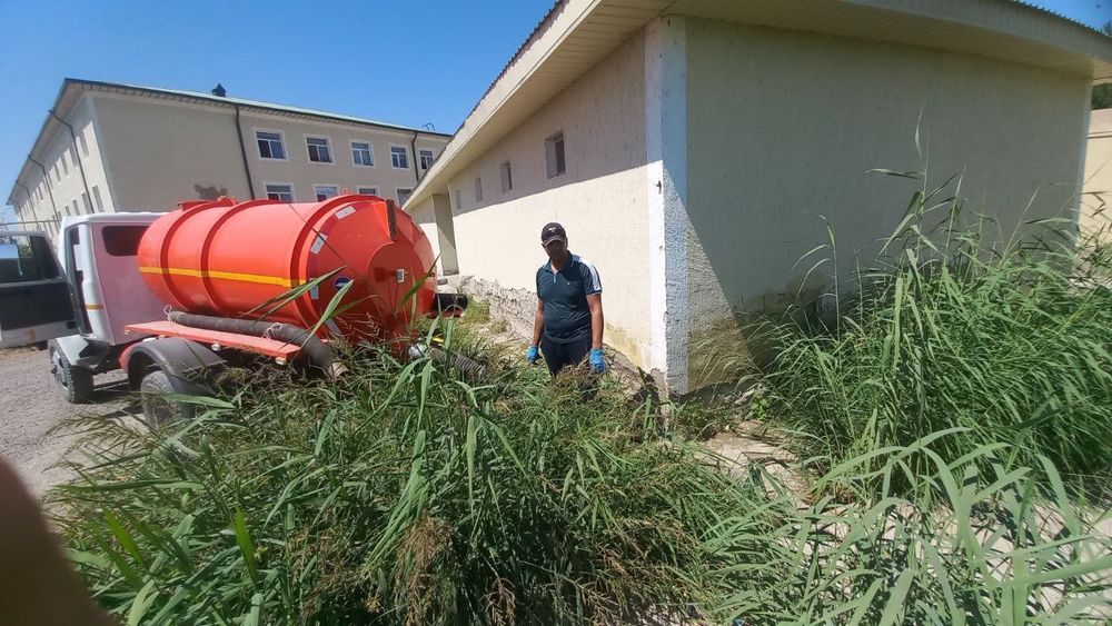 Асентизатор (гавнавоз) хизмати