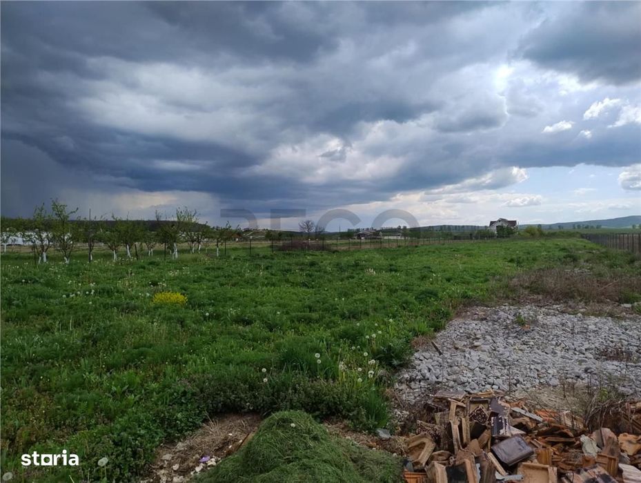 RECO Teren intravilan, Alparea