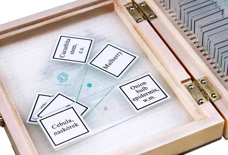 Opticon - Specimene Botanica - 25 Lame pentru microscop