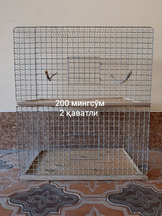 Қушлар учун қафас